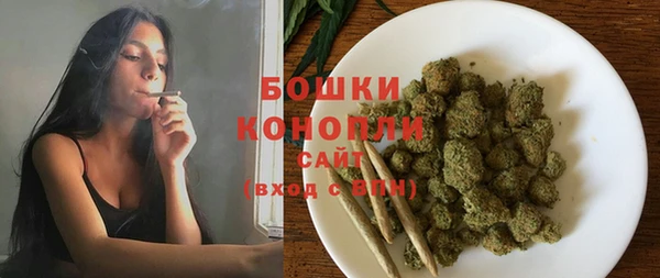 мдпв Верея