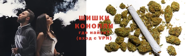 мдпв Верея