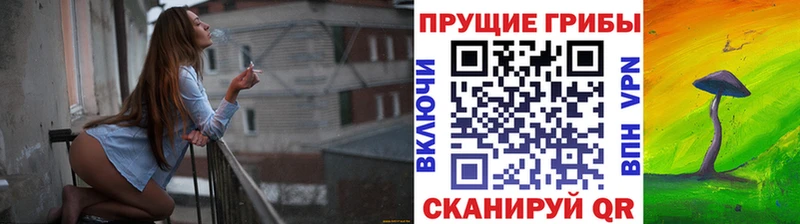 KRAKEN вход  Рубцовск  Псилоцибиновые грибы MAGIC MUSHROOMS 