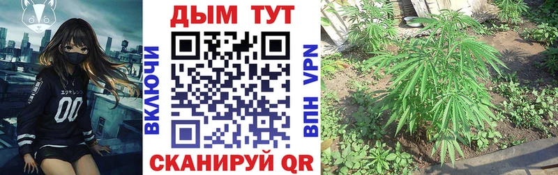 Каннабис Ganja  Рубцовск 